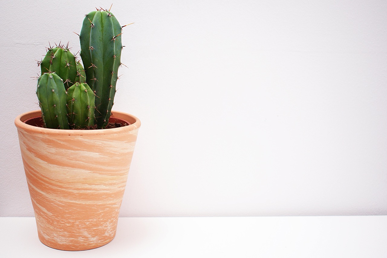 How to give feedback without breaking trust